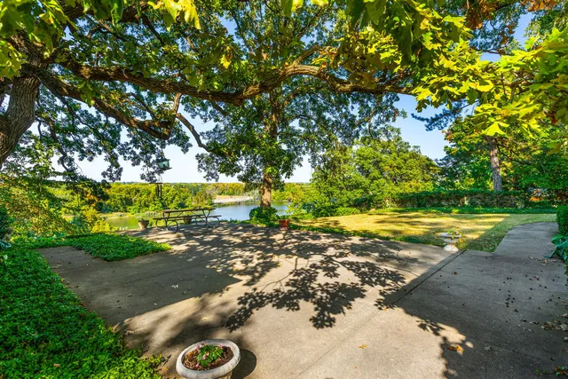 a backyard of a house with plants and large trees