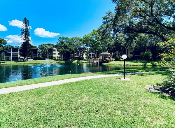a view of a park with large trees