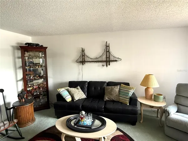 a living room with furniture or couch and a potted plant