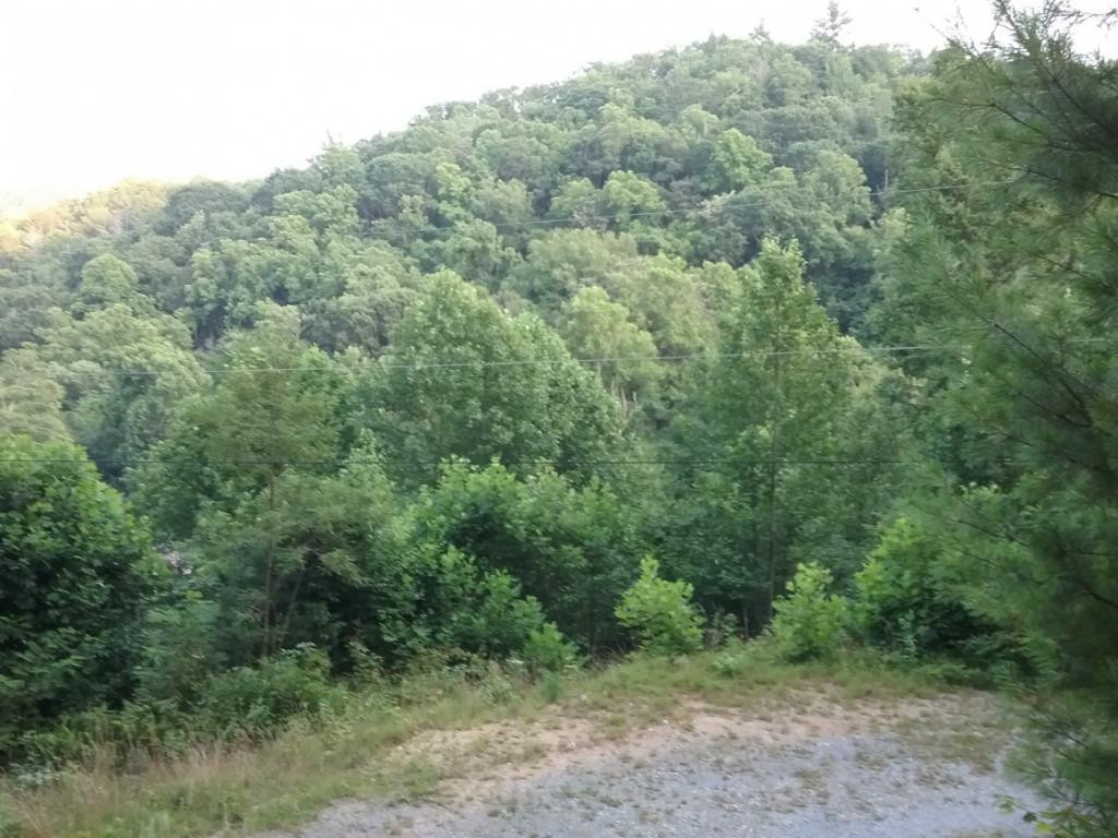 Lot 3 Dennis Cove Road, Unit 3 Hampton, TN 37658 - Photo 3 of 3 Photo 3