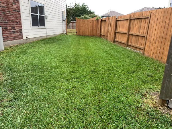 a view of backyard with potted plants and wooden fence