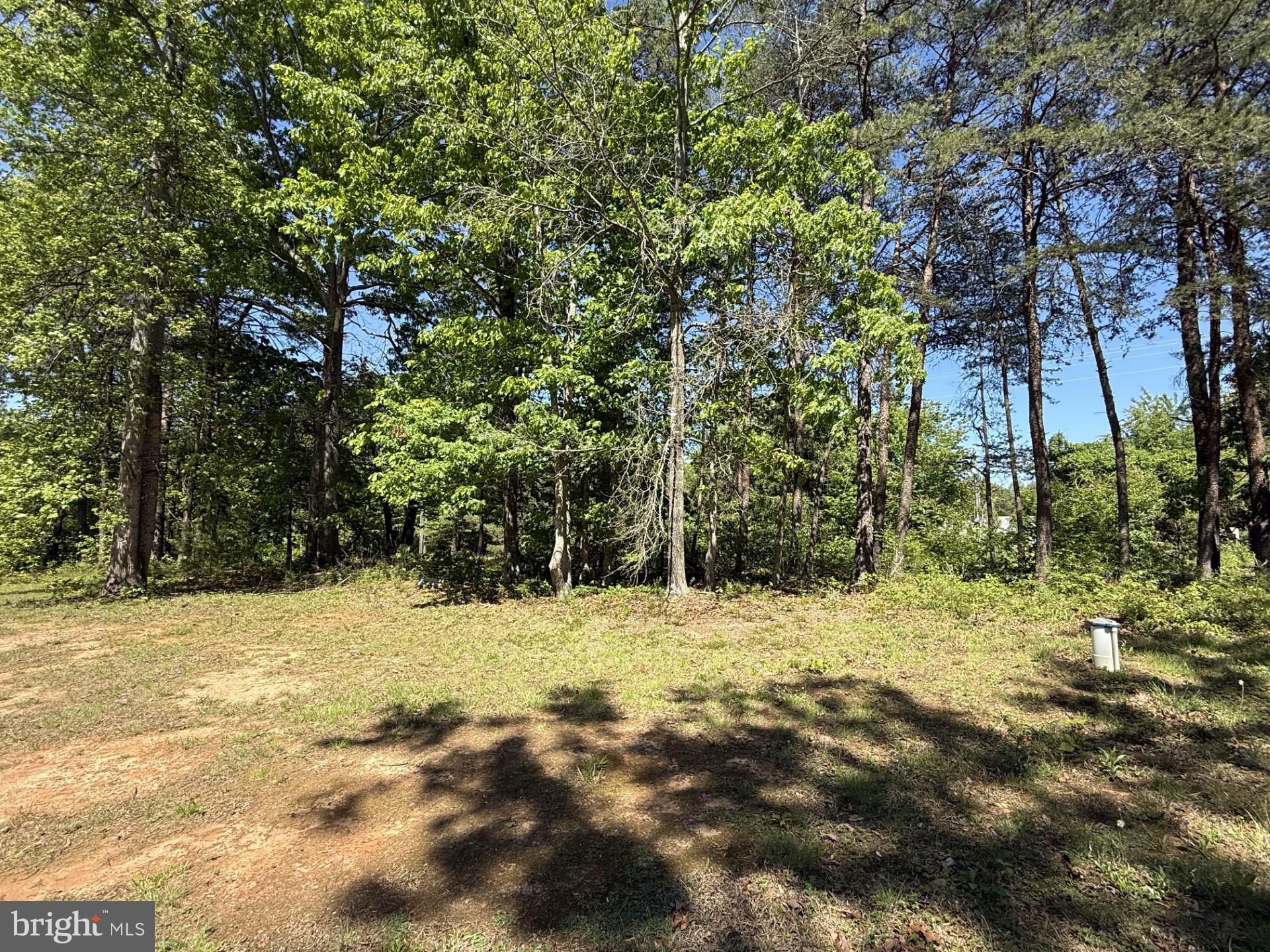 10374 Tower Road Unionville, VA 22567 - Photo 18 of 19