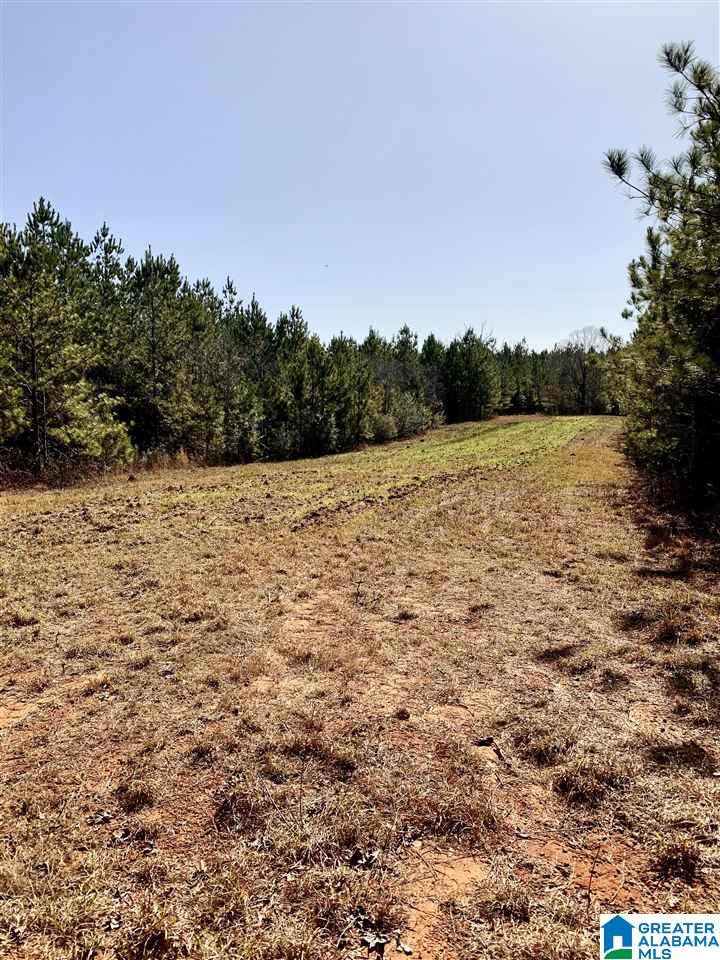 0 Donald Stewart Road, Unit 452 Marion, AL 36756 - Photo 15 of 29 Gallery Image 15