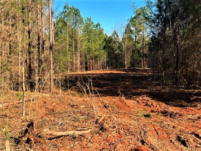 209 County Rd S-1-96 Abbeville, SC 29620 - Photo 7 of 11 Gallery Image 7