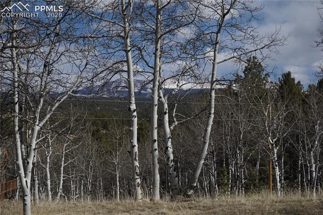 181 Berylium Road Florissant, CO 80816 - Photo 9 of 13 Gallery Image 9
