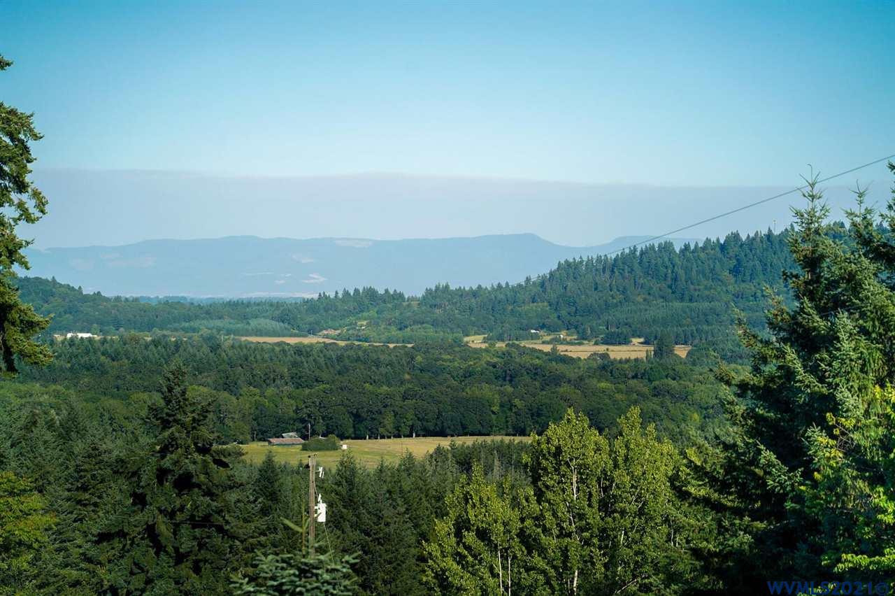 West Larson (lot 18) Road Monroe, OR 97456 - Photo 12 of 21