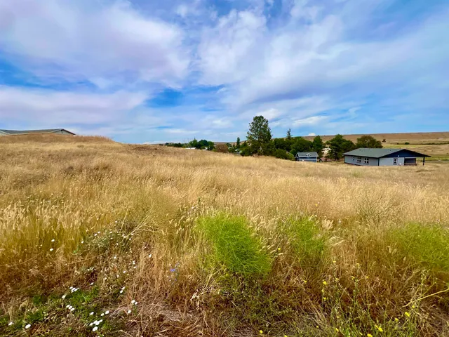 $27,000 | Nka Nka Glascock Street, Sprague, WA 99032
