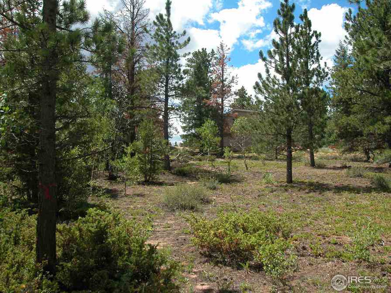 339 Monoma Road Red Feather Lakes, CO 80545 - Photo 5 of 6 Gallery Image 5