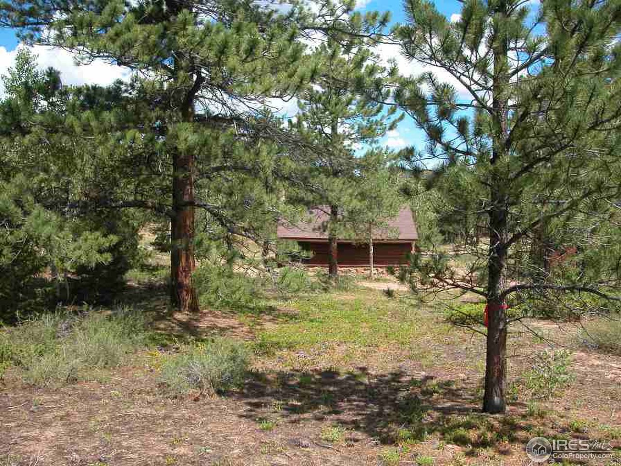 339 Monoma Road Red Feather Lakes, CO 80545 - Photo 6 of 6 Gallery Image 6
