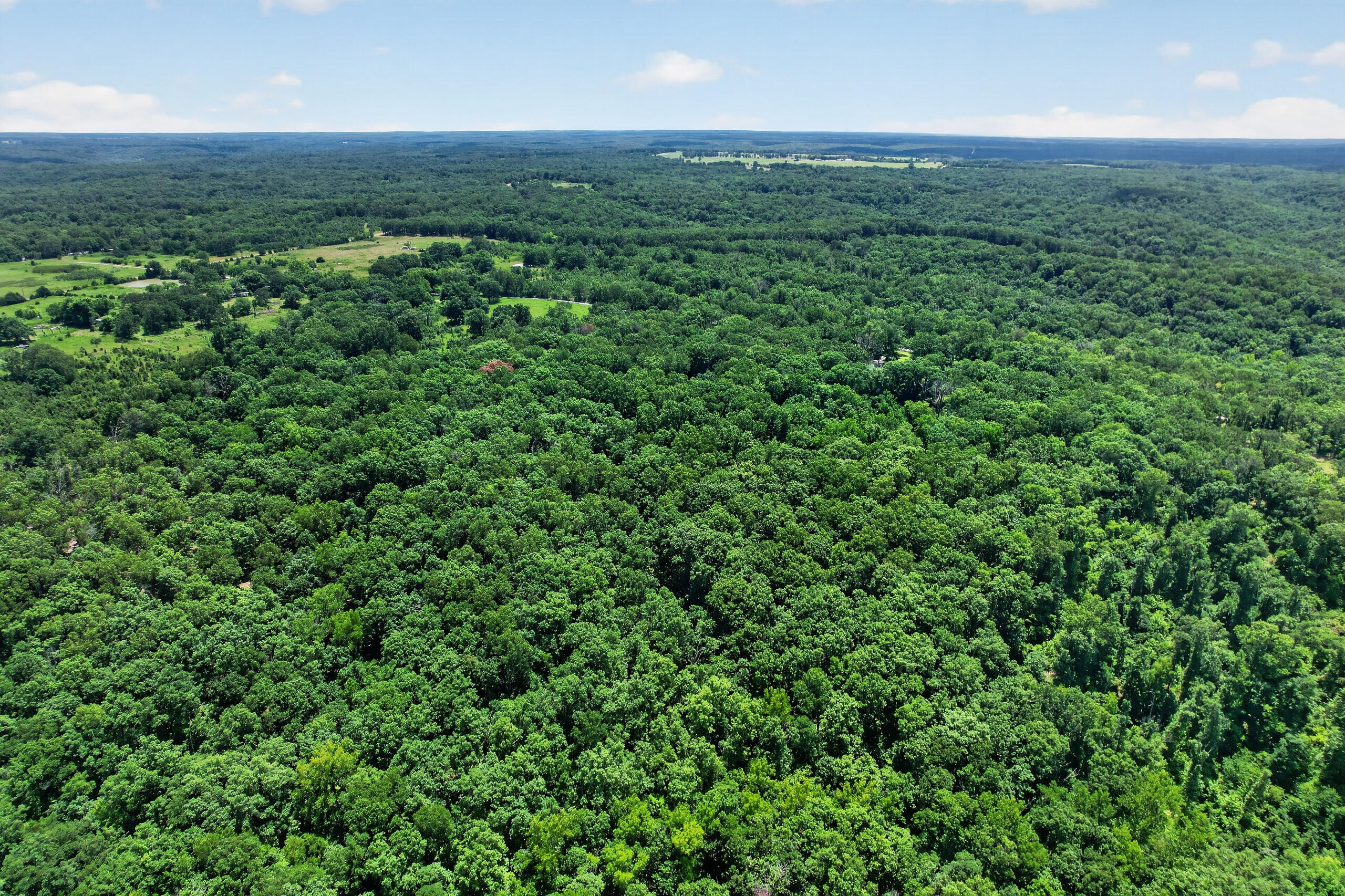 411 Moon Valley Road Lebanon, MO 65536 - Photo 131 of 144 DJI_0281
