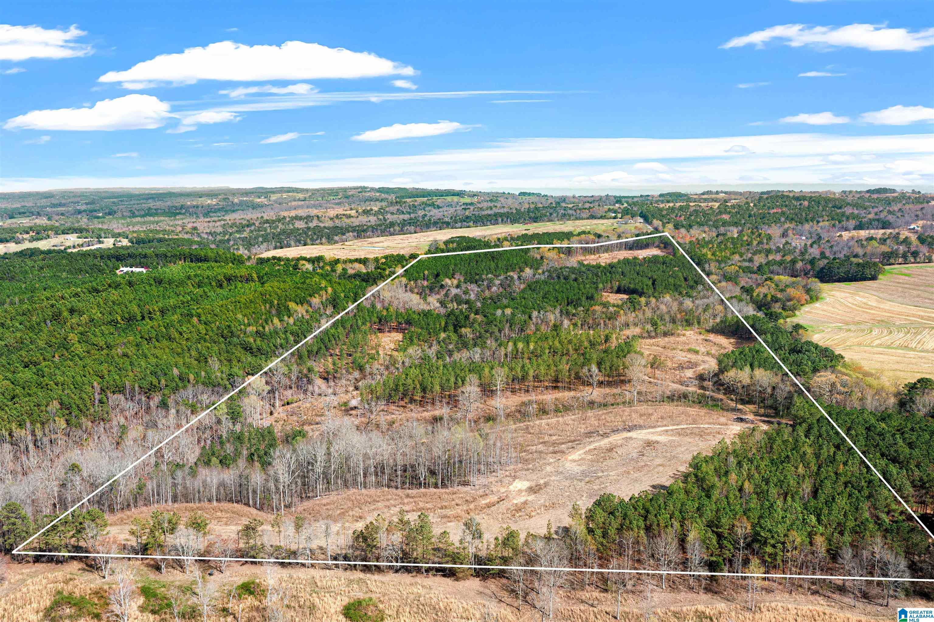 0 Frost Road, Unit 100 / ACRES Springville, AL 35146 - Photo 60 of 60