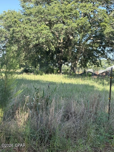 0 Galloway Road Graceville, FL 32440 - Photo 10 of 12