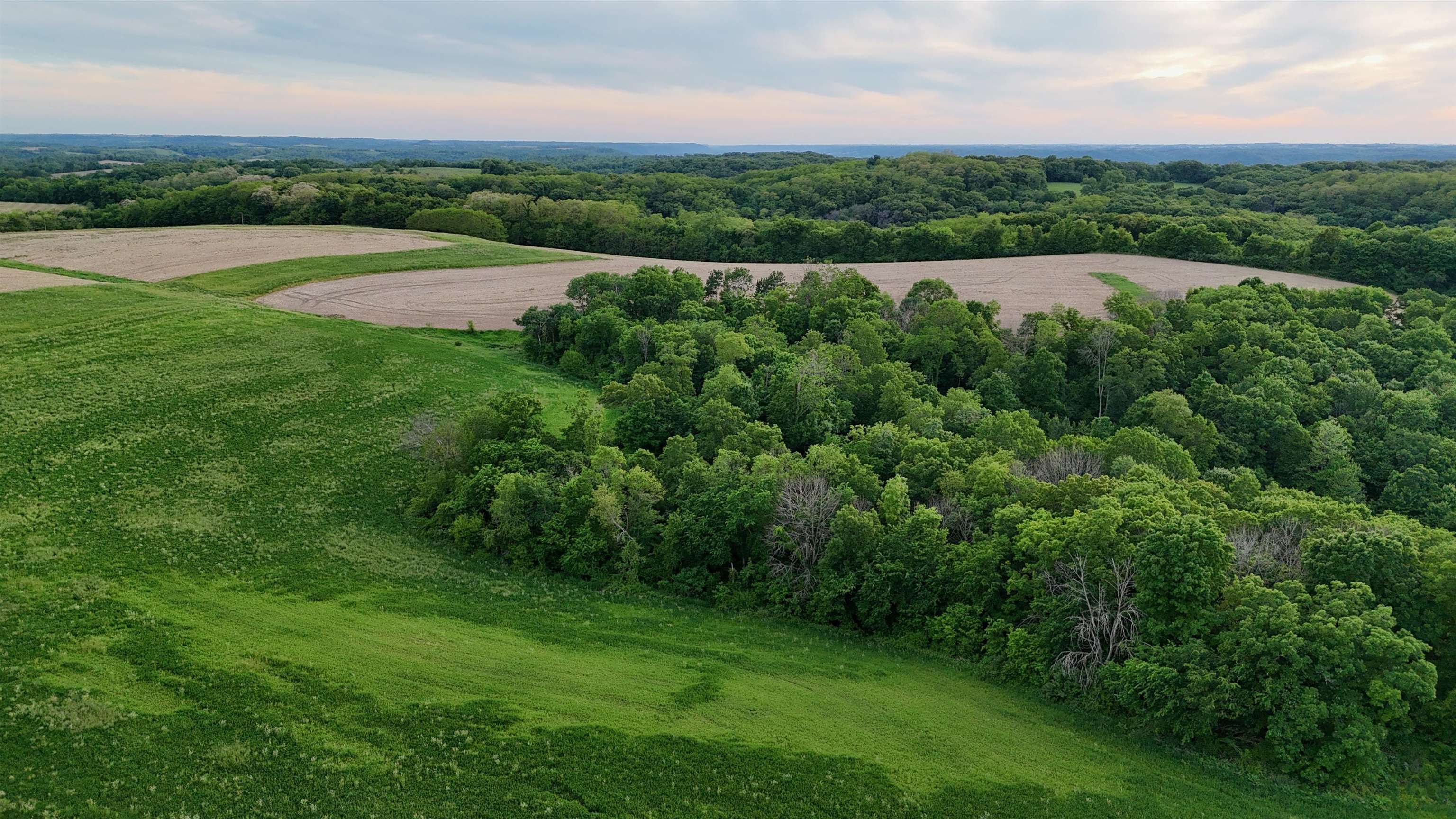 0 County M Boscobel, WI 53805 - Photo 5 of 32