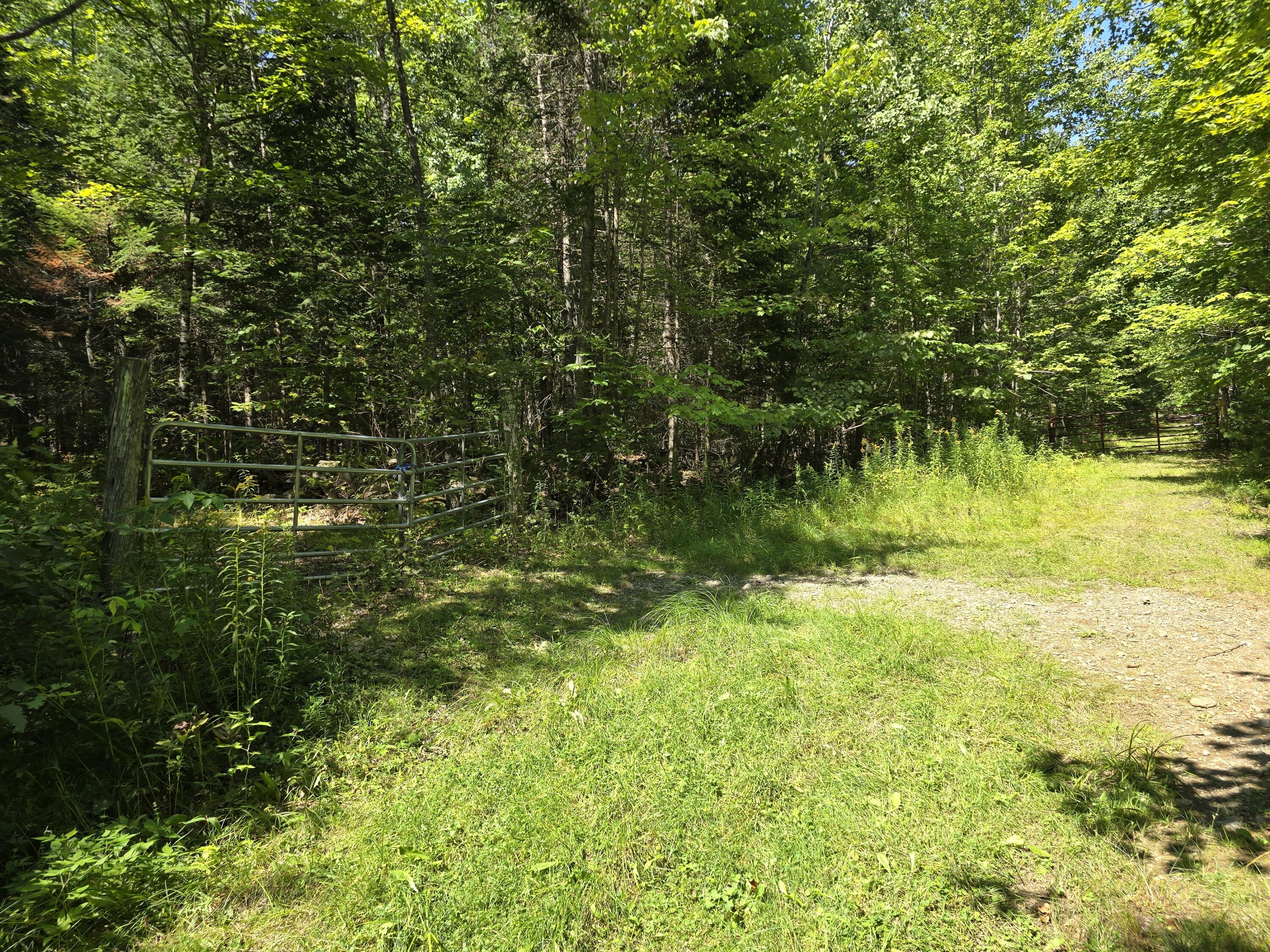 0 French Road Levant, ME 04456 - Photo 6 of 16 20260829_123548