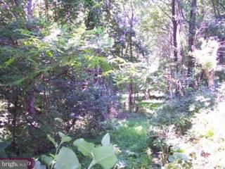 2123 Bodine Road Malvern, PA 19355 - Photo 1 of 4 Gallery Image 1