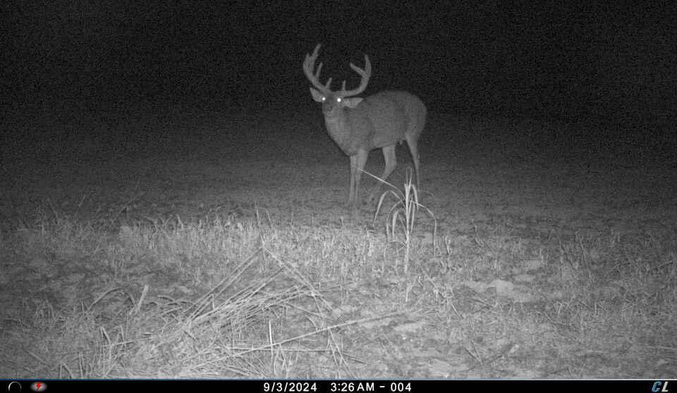 12680 Old Riley Road Frazeysburg, OH 43822 - Photo 94 of 95