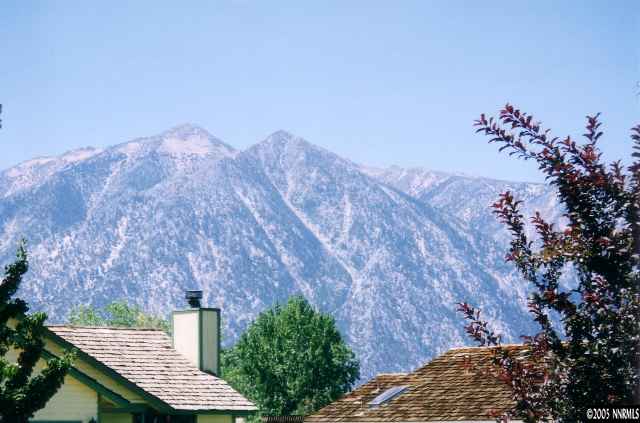 1360 Leonard Road Gardnerville, NV 89460 - Photo 5 of 5 Photo 5