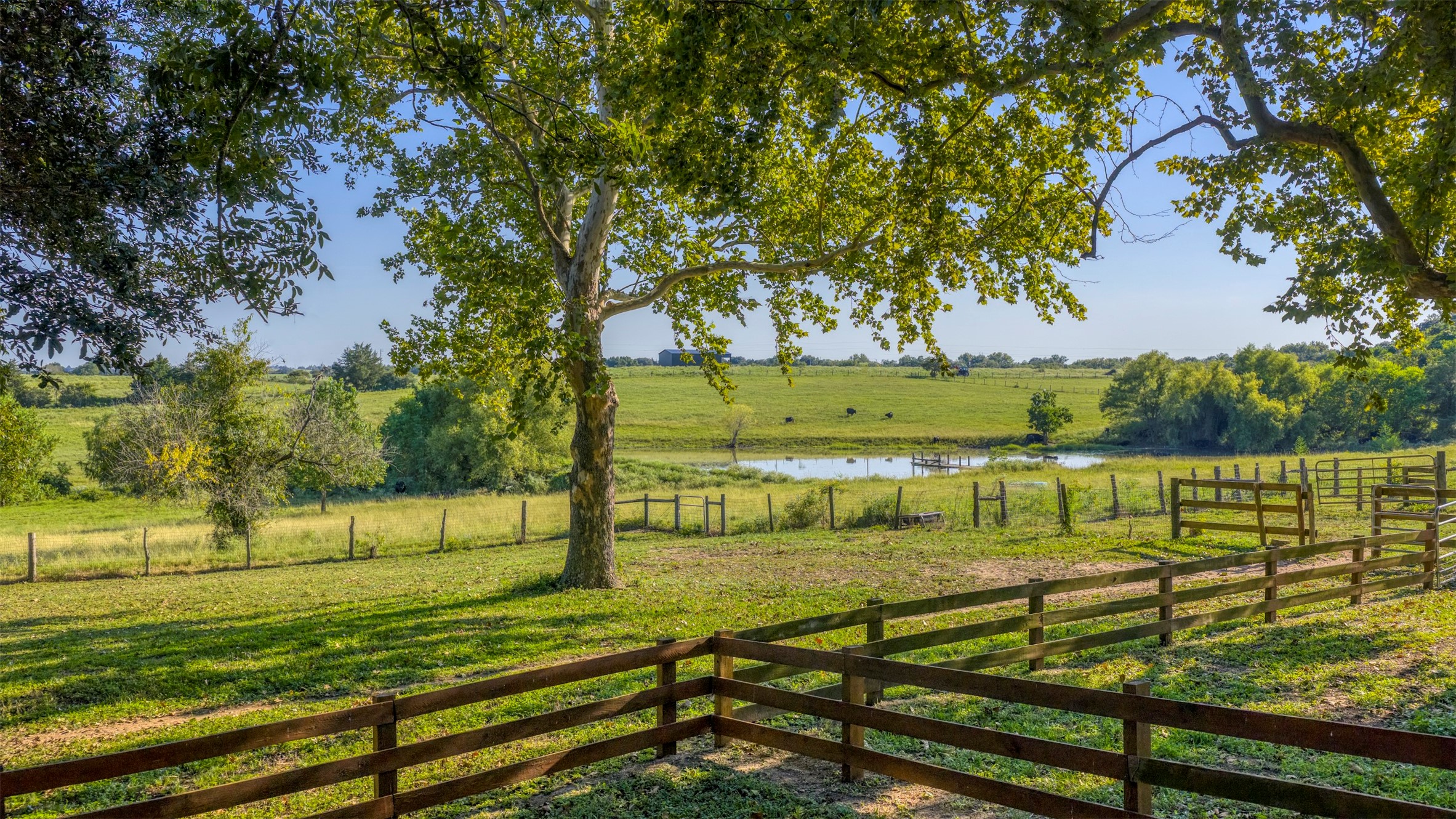 1711 Sempronius Road Chappell Hill, TX 77426 - Photo 3 of 50 a view of a yard with an outdoor seating
