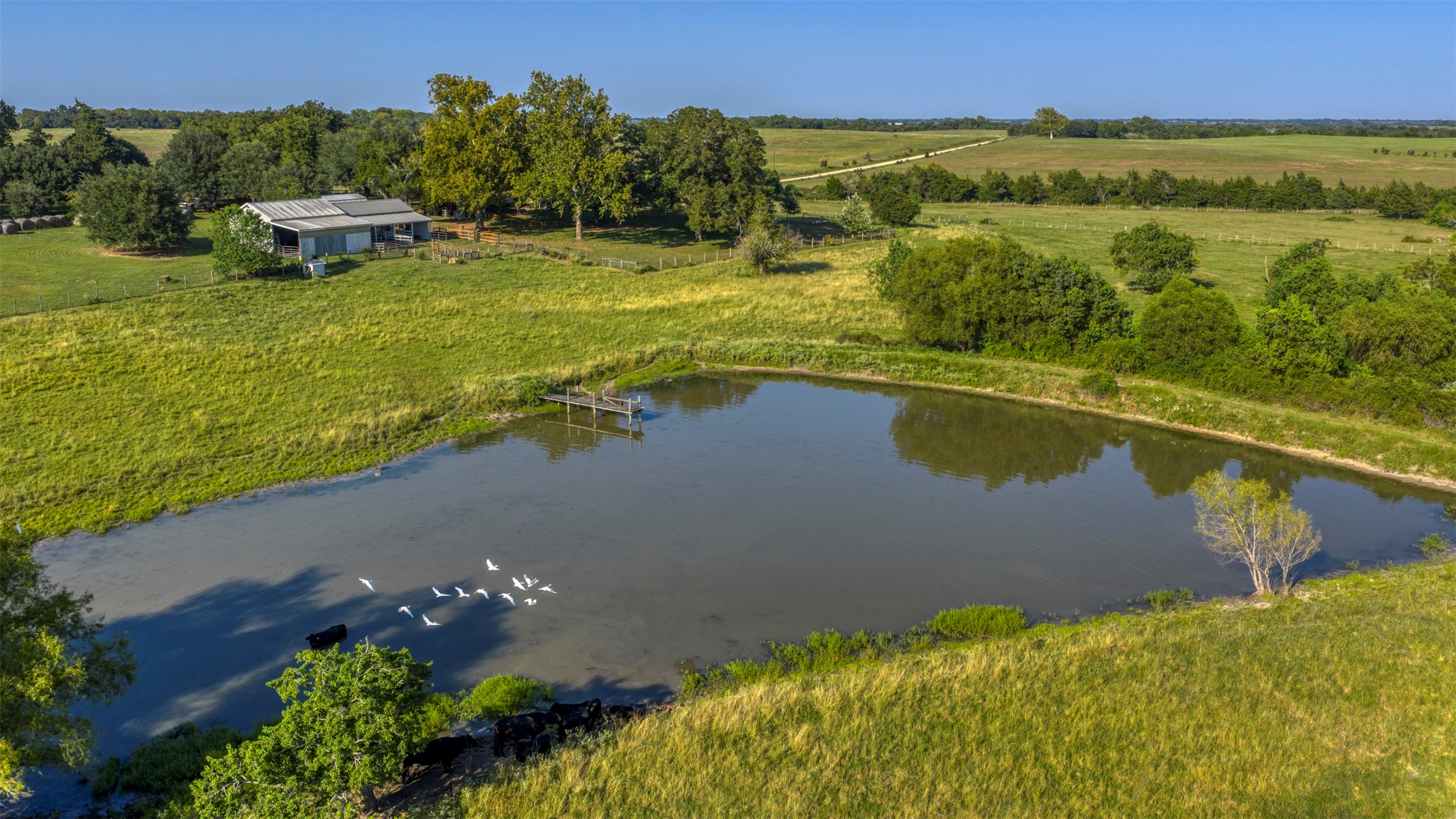 1711 Sempronius Road Chappell Hill, TX 77426 - Photo 43 of 50 an aerial view of residential houses with outdoor space and lake view