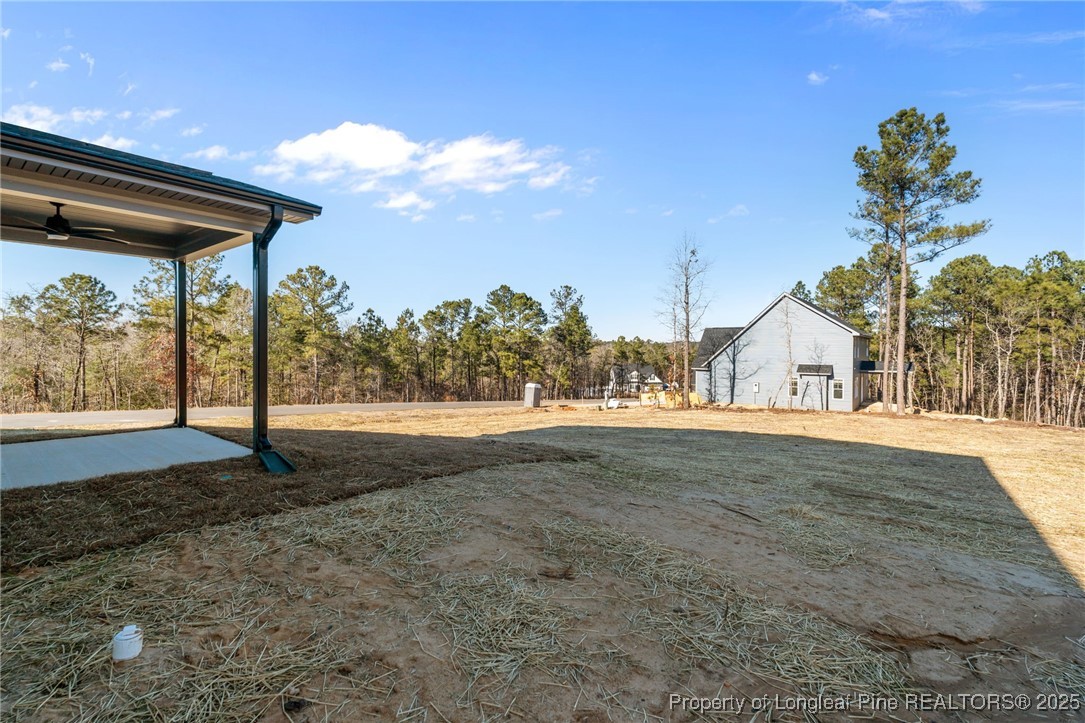 314 Persimmon Tree Drive Cameron, NC 28326 - Photo 46 of 46 a view of road and yard