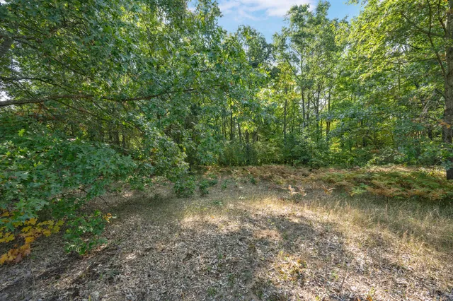 $27,500 | Lot 8 University Club Drive, Big Rapids, MI 49307