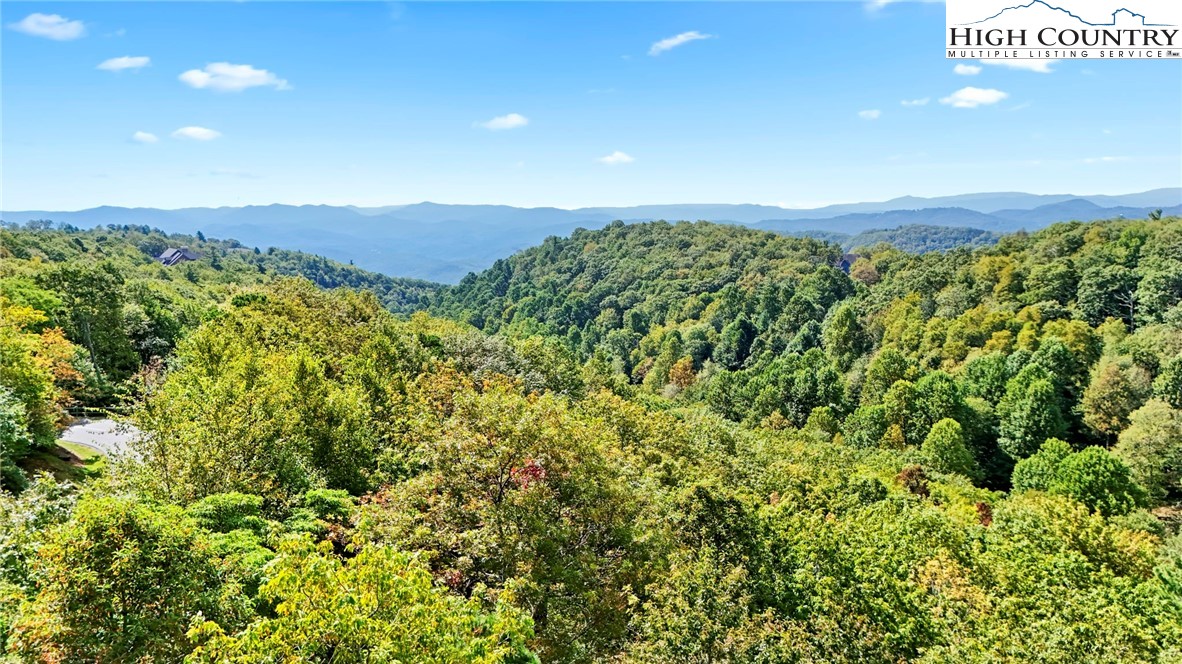 Lot 10 Greystone Drive Boone, NC 28607 - Photo 14 of 30 a view of a lush green field with lots of bushes
