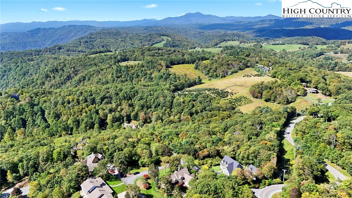 Lot 10 Greystone Drive Boone, NC 28607 - Photo 18 of 30 a view of a and covered with lush green forest