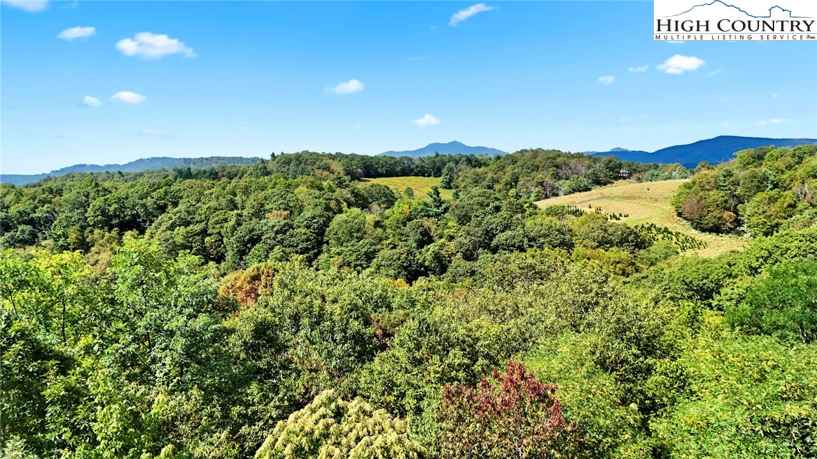 Lot 10 Greystone Drive Boone, NC 28607 - Photo 21 of 30 a view of a green field with lots of bushes