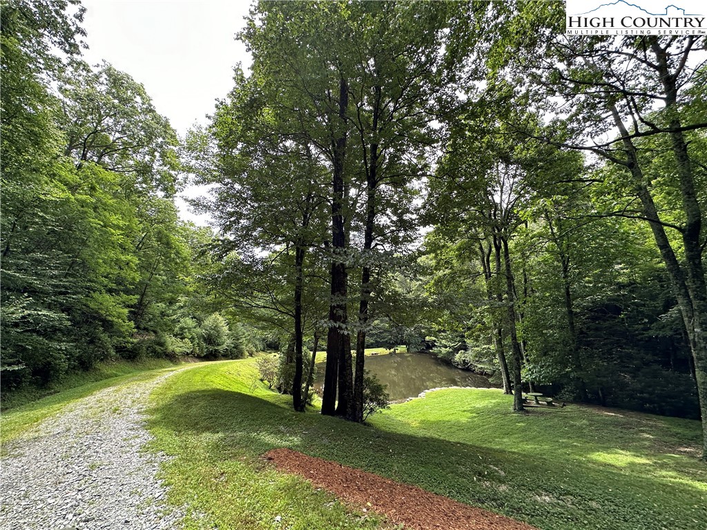 Lot 10 Greystone Drive Boone, NC 28607 - Photo 26 of 30 a view of a trees with a yard