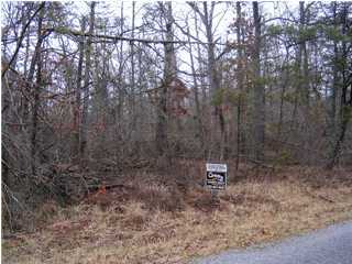 1013 Flathead Road Crossville, TN 38572 - Photo 1 of 3 Primary Photo