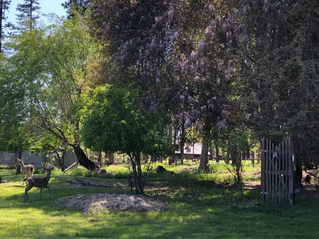 a front view of a house with patio