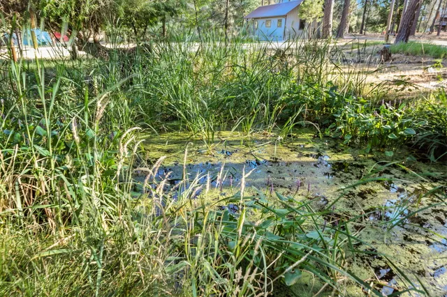 $639,516 | 61 Chief George, Lewiston, CA 96052