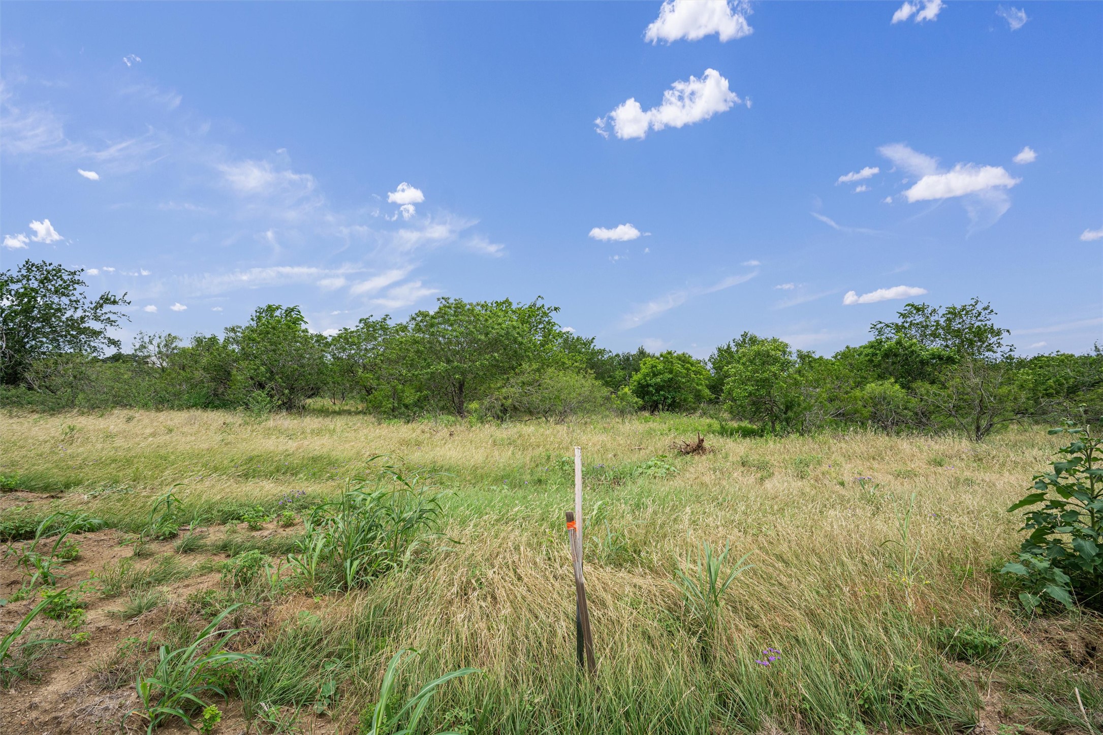 3315 County Road 463 Elgin, TX 78621 - Photo 23 of 32 A spacious, undeveloped parcel with a clear sky and distant tree line provides an ideal building site.