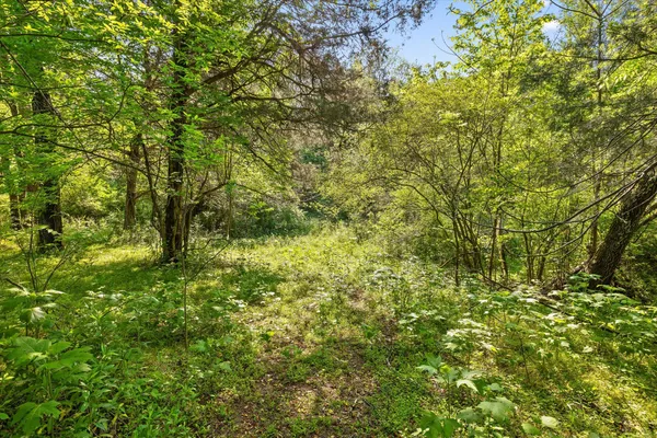 $300,000 | 553 Back Valley Road, Trenton, GA 30752