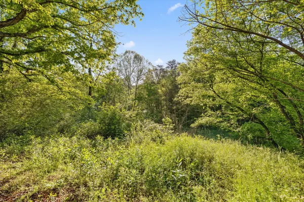 $300,000 | 553 Back Valley Road, Trenton, GA 30752