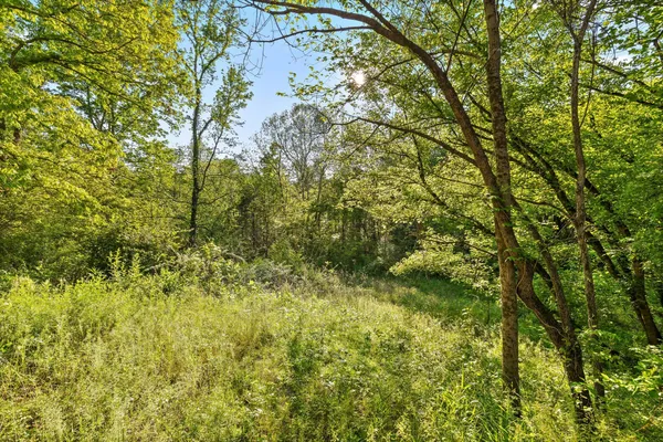 $300,000 | 553 Back Valley Road, Trenton, GA 30752