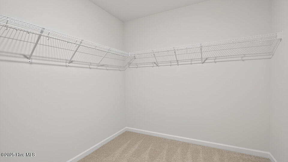 219 Fair Child Road Spring Lake, NC 28390 - Photo 30 of 35 Closet