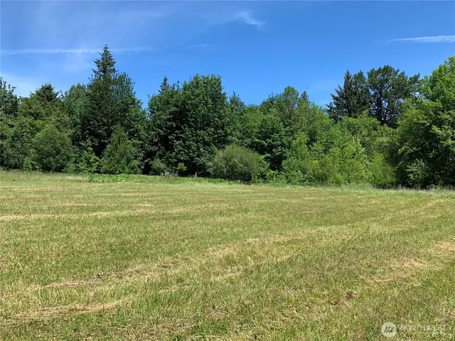 a view of a field with trees in the background