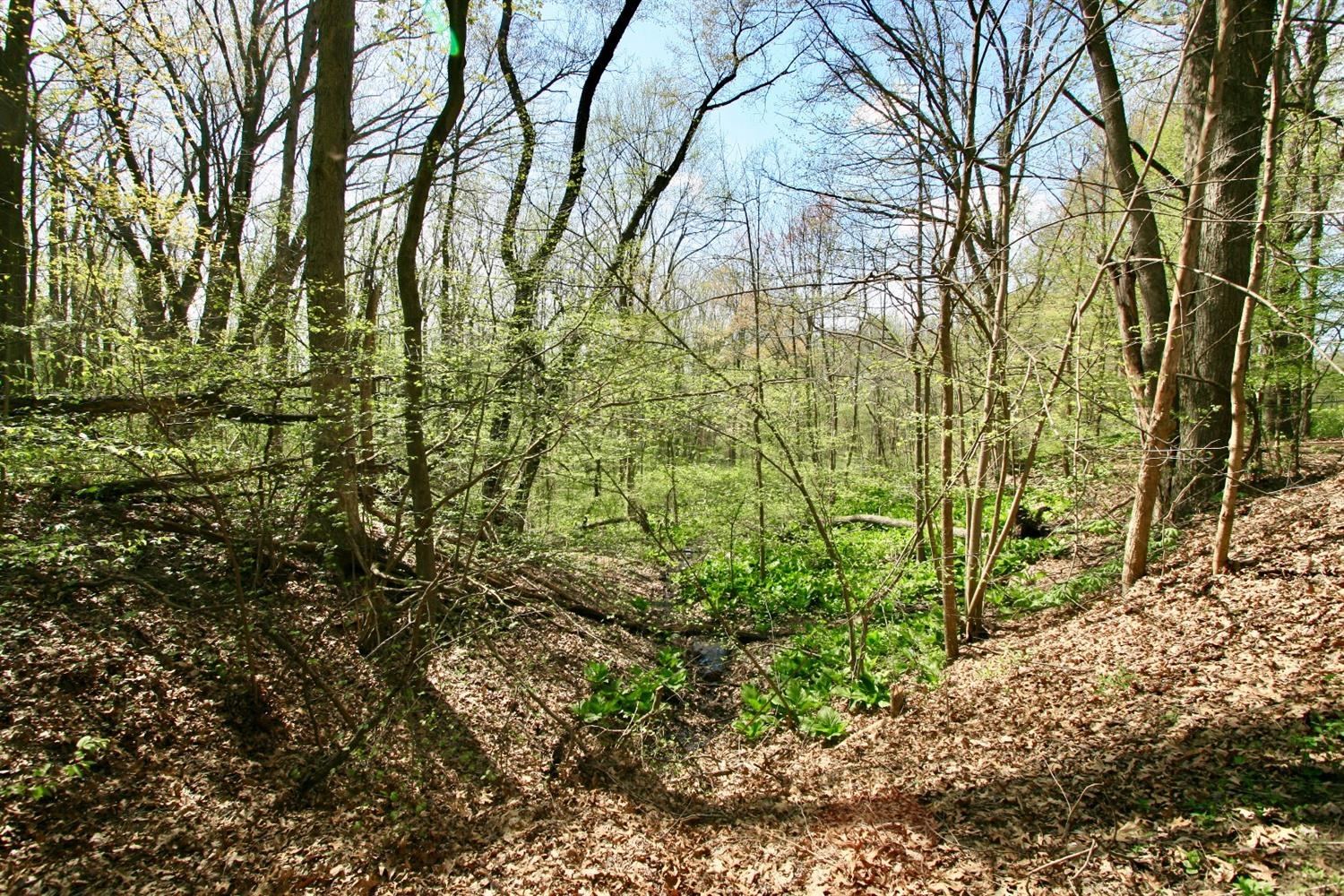 234 Old Mill Road Trail Creek, IN 46360 - Photo 9 of 10 1500x1000