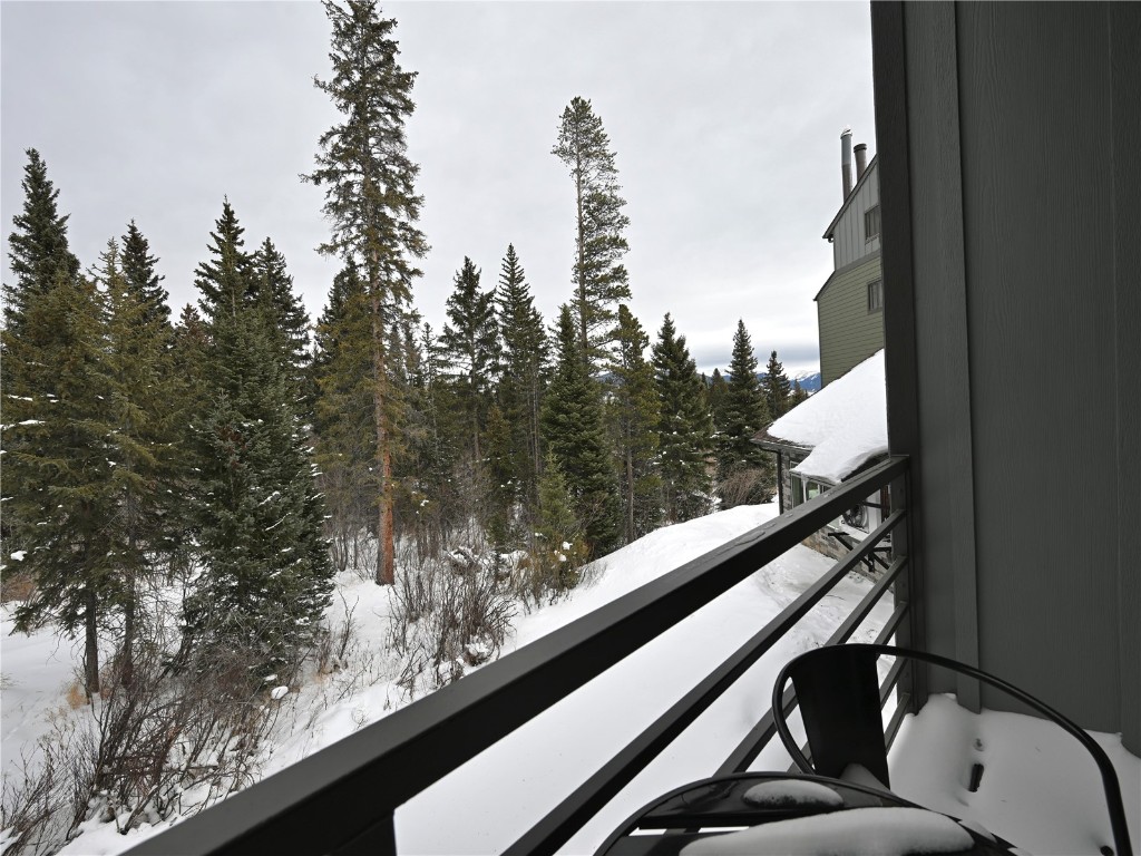 10000 Ryan Gulch Road, Unit 109 Silverthorne, CO 80498 - Photo 18 of 25 a view of a balcony with mountain view and trees