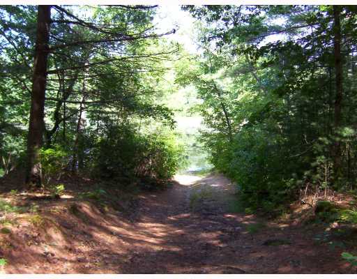 20 Pond Meadow Road Charlestown, RI 02813 - Photo 12 of 12 Other. Walking paths and a car path to the pond for launching that canoe.