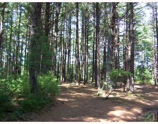 20 Pond Meadow Road Charlestown, RI 02813 - Photo 8 of 12 Land. Nice walking path through tall pines to get to the pond.