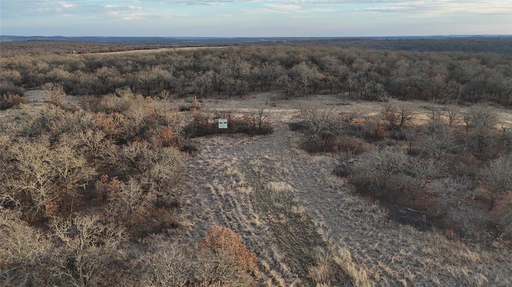 1921 Salt Creek Road Jacksboro, TX 76458 - Photo 26 of 37 a view of a dry yard with green space