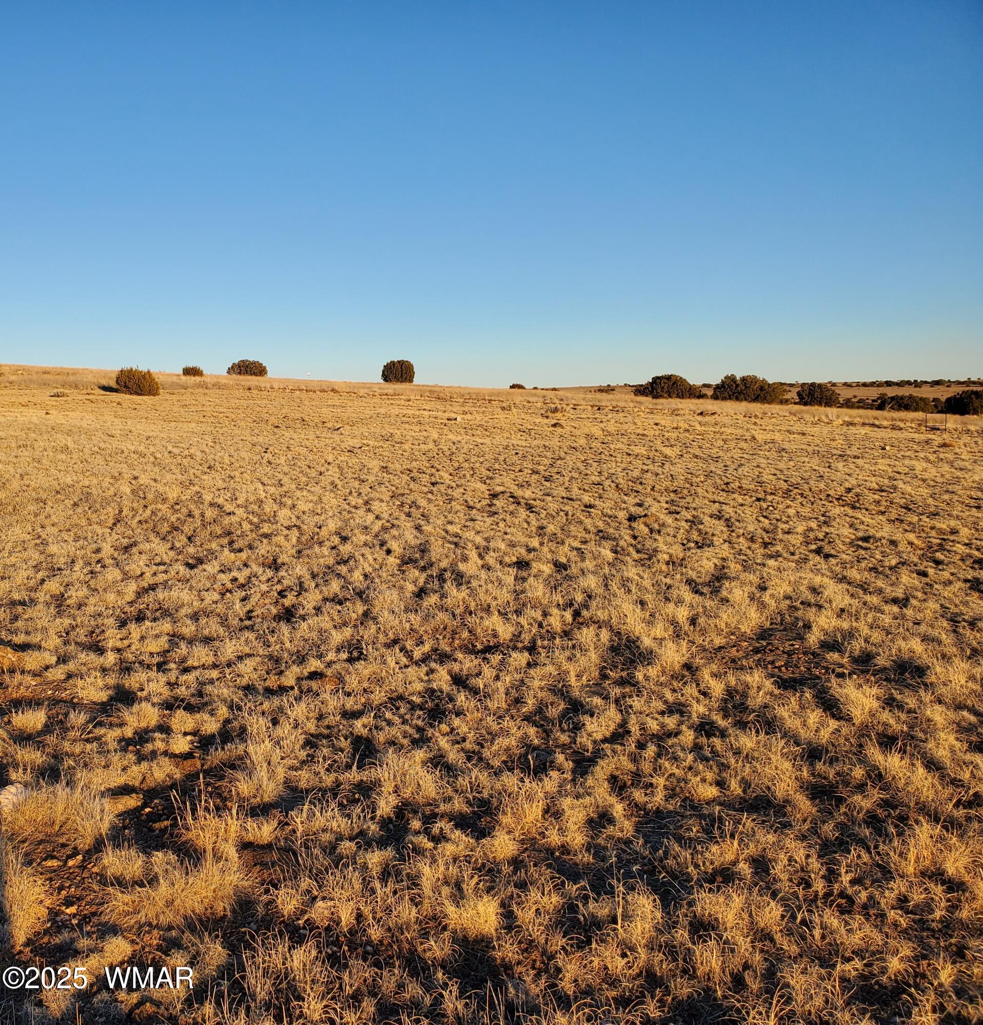 1-3 County Road Concho, AZ 85924 - Photo 4 of 10 20240212_173813