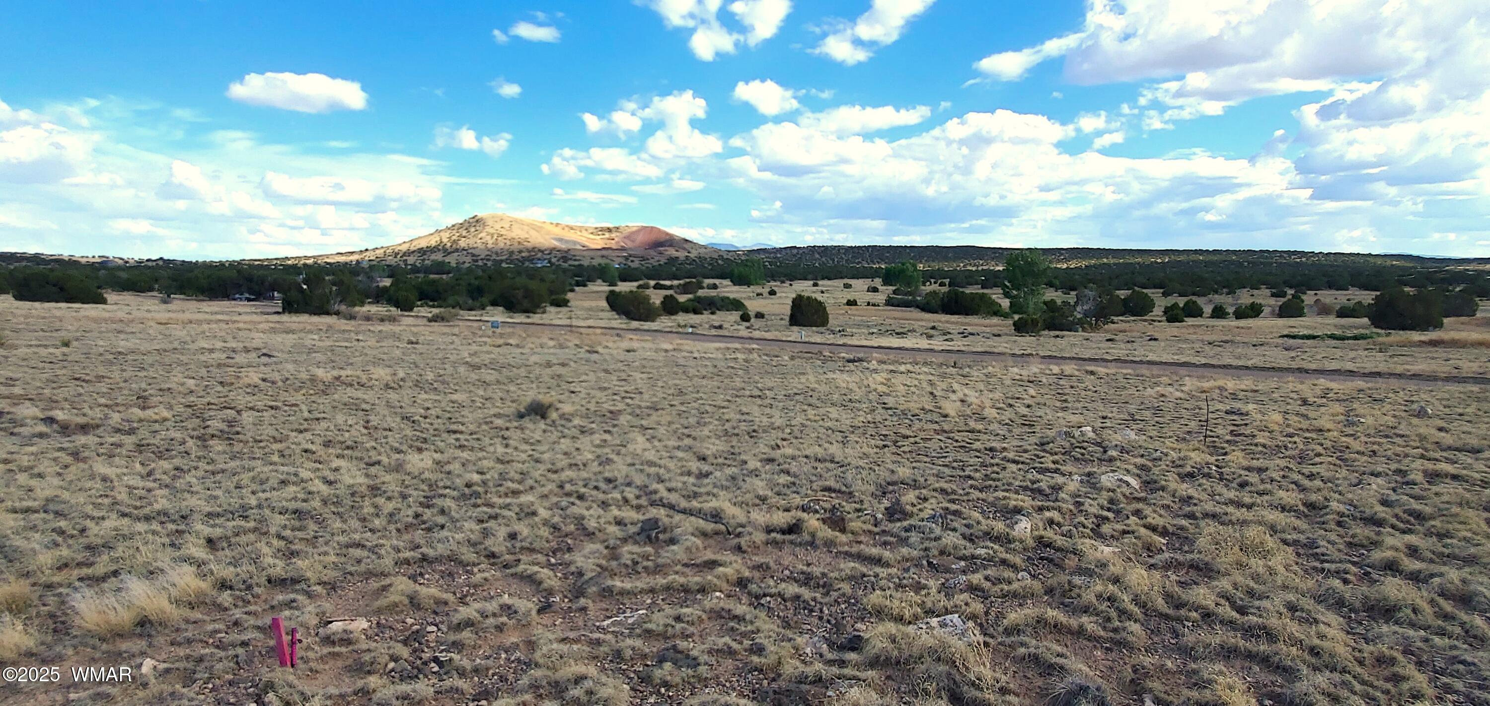1-3 County Road Concho, AZ 85924 - Photo 8 of 10 20250624_162934