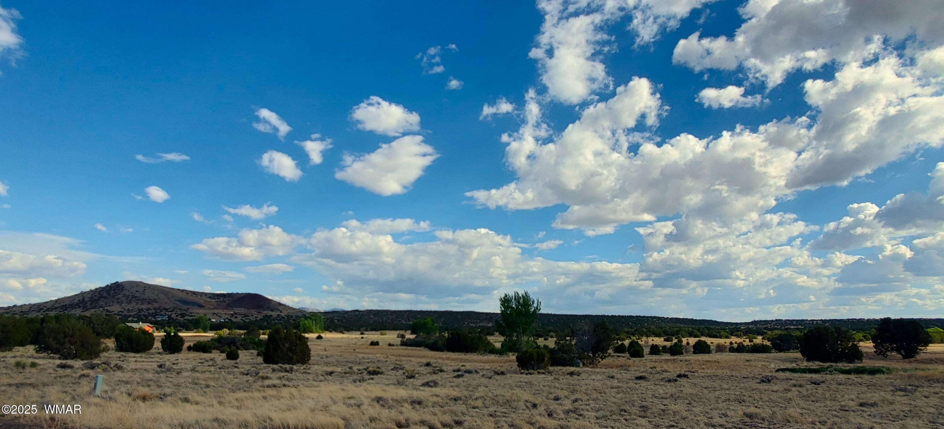 1-3 County Road Concho, AZ 85924 - Photo 10 of 10 20250624_163122