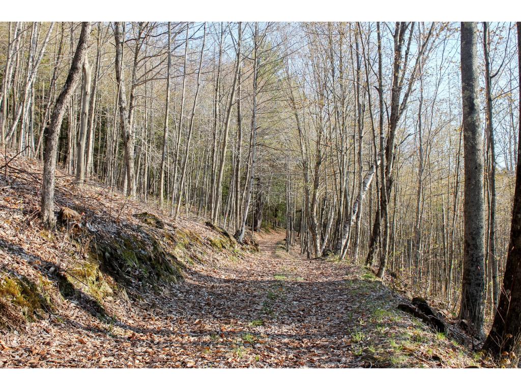 243 Spring Road Tunbridge, VT 05077 - Photo 29 of 36