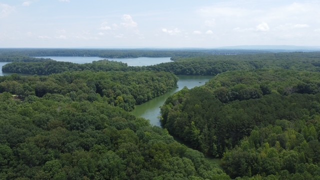 an aerial view of city and green space