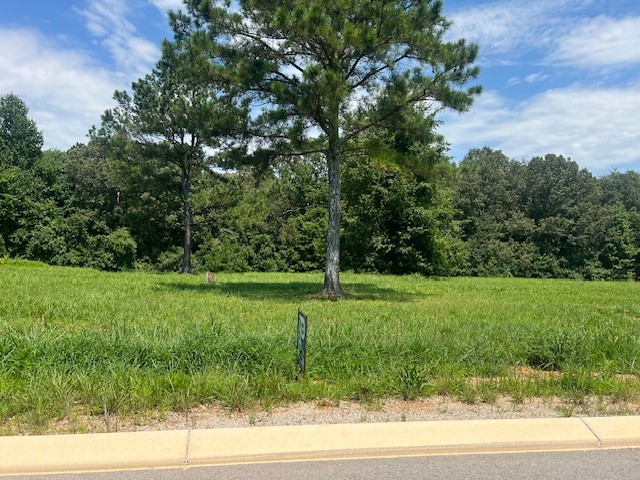 3 Summer Lake Winchester, TN 37398 - Photo 4 of 5 a view of a grassy field
