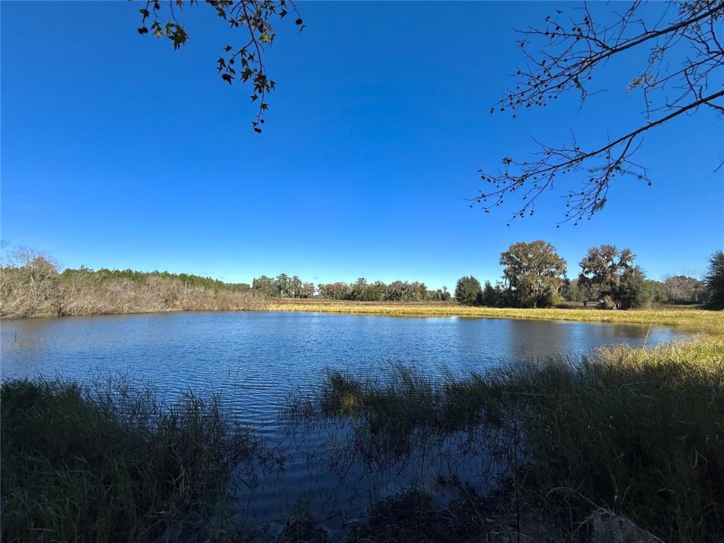 Northwest 110th Avenue Reddick, FL 32686 - Photo 4 of 14